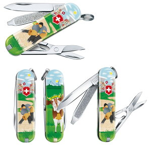 rNgmbNX VICTORINOX@0.6223.L2009 NVbN ~ebh GfBV 2020 Swiss Wrestling