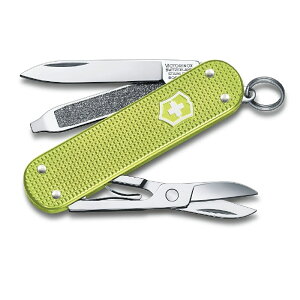 rNgmbNX VICTORINOX@0.6221.241G NVbN ALOX@Lime Twist