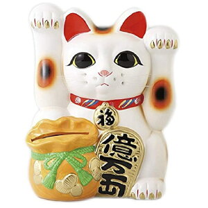 튊 L@~@グ󓖔L@8@F25.5cm