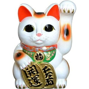 常滑焼 招き猫 梅月 開運白手長小判猫(左手)10号 高さ:35cm 2E14