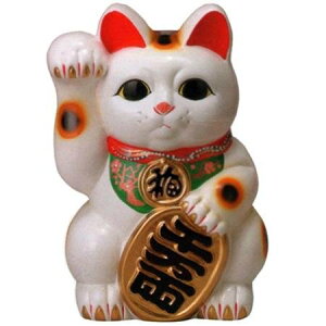 常滑焼 招き猫 梅月 白小判猫 (右手)10号高さ:33cm