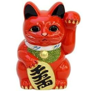 튊 L@~ ԏLij6@F19cm