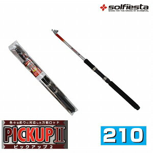 \tBGX^@PICKUP(sbNAbv)II@傢@210 (oCbh@h)