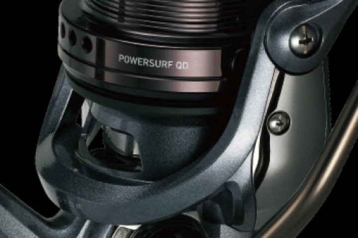 楽天市場】【スーパーSALE限定P10倍+買い回りで最大5000P】ダイワ 