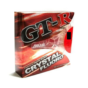 T[iC GT-R NX^t 100M 6Lb