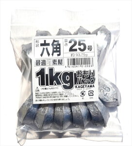 �i�R�Y�Ɓ@�Z�p�I�����@Kg�@25��