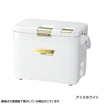楽天市場】シマノ フィクセル プレミアム 22lの通販