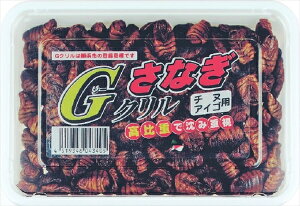 【冷凍品】Gサナギ 釣り餌 ツリ エサ 身エサ ダンゴ釣り 海上釣り堀 チヌ【決済方法:クレジットカード/ApplePayのみ】(一回購入100個まで)