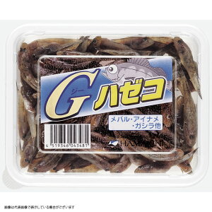 yⓀizGn[R ނa c GT gGT Cނxyϕ@FNWbgJ[h/ApplePaŷ݁z(w120܂)