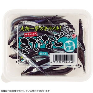 【冷凍品】キビナゴ プチサイズ(M) 釣り餌 ツリ エサ 身エサ 海上釣り堀 タチウオ 根魚【決済方法:クレジットカード/ApplePayのみ】(一回購入120個まで)