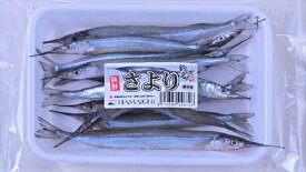 楽天市場 釣り 餌 サヨリの通販