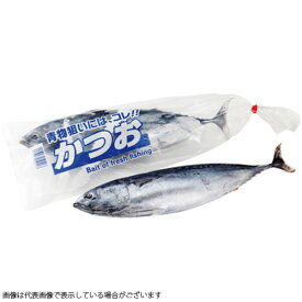 楽天市場 冷凍 釣り餌 カツオの通販