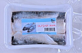 楽天市場 冷凍コノシロの通販 楽天市場 冷凍コノシロの通販