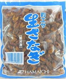楽天市場 釣りエサ サナギの通販