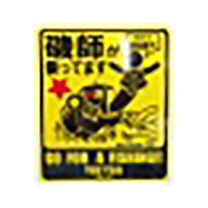 Fu YOUESHI{ XebJ[T3 11x13 crg