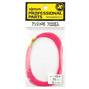 ylR|XΏەizc AVXgPE/sN tc10(70Lb) 5m