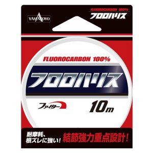 ylR|XΏەiz}geOX tnX10m-8