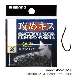 yX[p[Z[X |CgobNőP10{+ΏۏiP10{zV}m ULX HOOK 100{ RG-NS1N 4