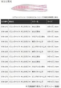 }A pjbNxCg IjJTS STCY ÃGr