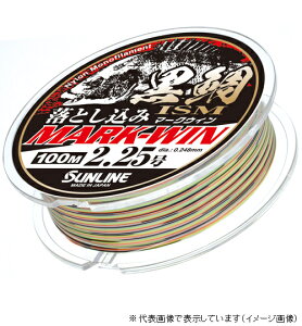 �T�����C�� ����ISM �������� MARK-WIN 100M 2.25��
