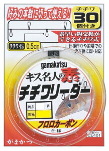 ylR|XΏەiz܂@LXlmf``[_[30@CL101@27cm