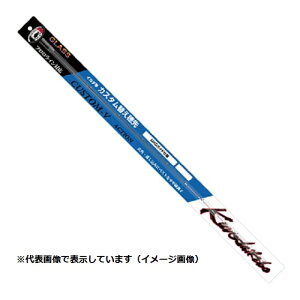 H[ JZt CJ_ƃJX^ւ CUSTOM-V ACTION 3 2015Nf