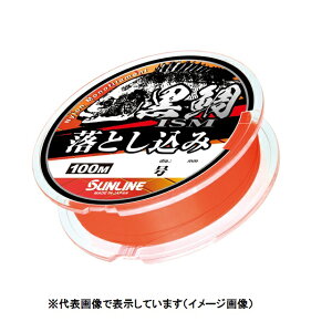 �T�����C���@����ISM�@���Ƃ����݁@100M�@�i�I�����W�j�@2��