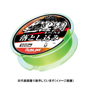 TC@ISM@Ƃ݁@100M@iO[j@2