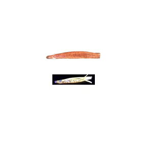 }V^@pjbNxCg@o@1D5@MB06@GOS