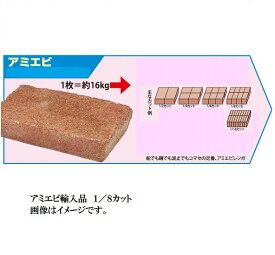 楽天市場 釣り 餌 コマセの通販