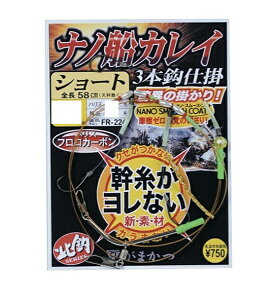 ܂@imDJCd|iV[gj@FR224@13|5