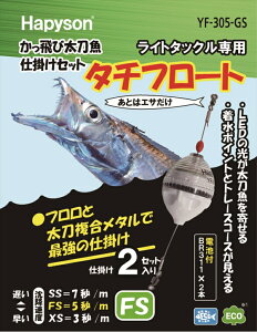 ylR|XΏەizns\(Hapyson) YF-305-GS у^`EId|ZbgFSG 