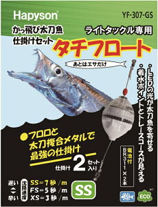 ylR|XΏەizns\(Hapyson) YF-307-GS у^`EId|ZbgSSG 