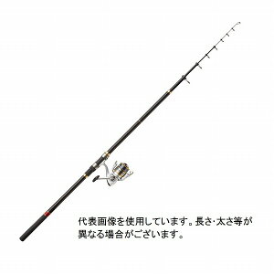 CB vtBbg Zbg 3-530 (GGS4000)