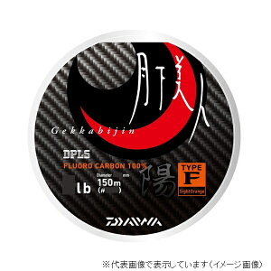 ylR|XΏەiz_C l ^Cv-F z SO(TCgIW) 5lb 150m