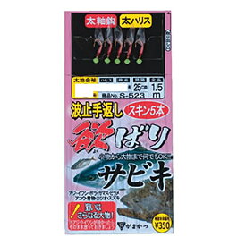 楽天市場 サビキ 仕掛け 大物の通販