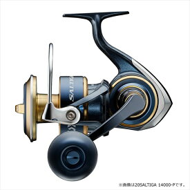 楽天市場 ダイワ ソルティガ Pe 12の通販