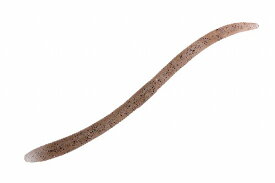 【ネコポス対象品】ジャッカル フリックシェイク 5.8インチ テナガエビ