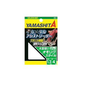 yX[p[Z[X |CgobNőP10{+ΏۏiP10{z}V^ CJ^AVXg[_[ 4 IO