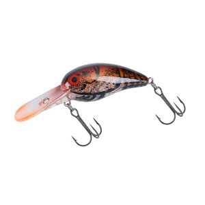 ylR|XΏەiz_C@^Cj[Chs[ibc@t@guEN[