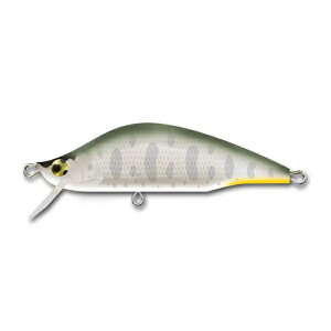 ylR|XΏەizCgENtg {EC42S PYG