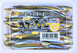 yⓀizLriS  ނ GT gGT Cނx ^`EI yϕ@FNWbgJ[h/ApplePaŷ݁z(w140܂)