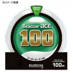 Nn V[K[G[X100 100m 8 4{珇j[A