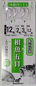 nuT@FE-206ܖڔ 2{b2Zbg12-2