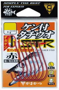 ܂ j Pt^`EI ST-R  4/0