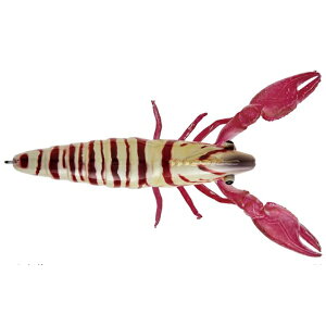 W[Ntg d| vv^RGr #8N}Gr