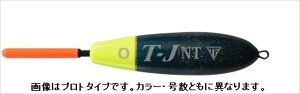 ތ EL T-J NT G2 sN