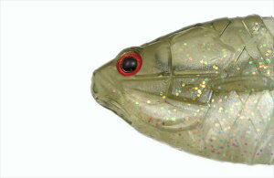 ꐽ CbZC [ Mtbg#57 EB[hVbh