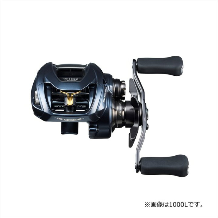 楽天市場】ダイワ ベイトリール スティーズ A2 TW 1000HL(左) : 釣具の 