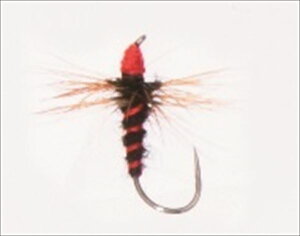 FV PALS pX d| CgtCeJ2  BL-B #12